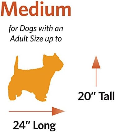 MidWest Homes for Pets Medium QuietTime MAXX Ultra-Rugged Dog Bed, Wat