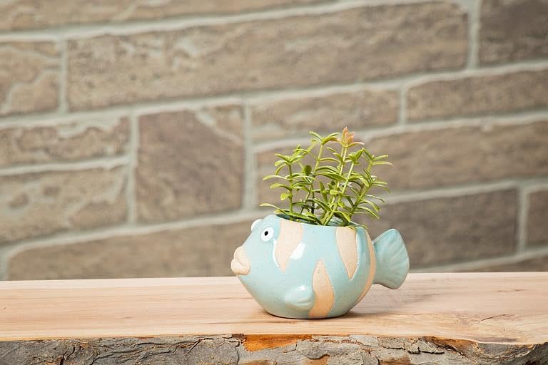 Abbott Collection Ceramic Fish Planter - Blue, Small (2" H)