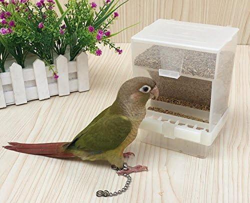 Hypeety Automatic Bird Feeder No Mess Pet Feeder Seed Food Container P