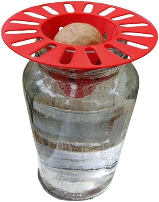 2 PACK Avocado Seed Holder to Grow Avocados | Mason Jar & Garden Pot Avocado Easy Grower | Fits over a Mason Jar to grow Avocados | Gardening Tools (Clear)