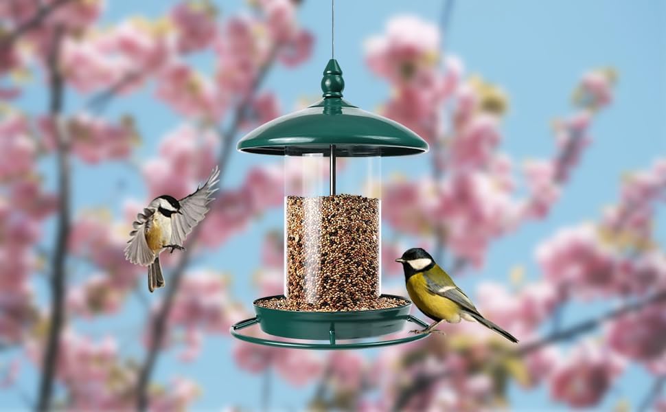 Bird Feeder for Outdoors, Holds 1.50LB Seeds,