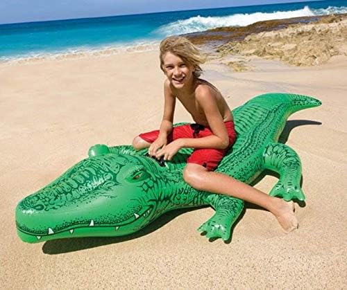 INTEX Inflatable Pool Float: Pool Toy for Kids