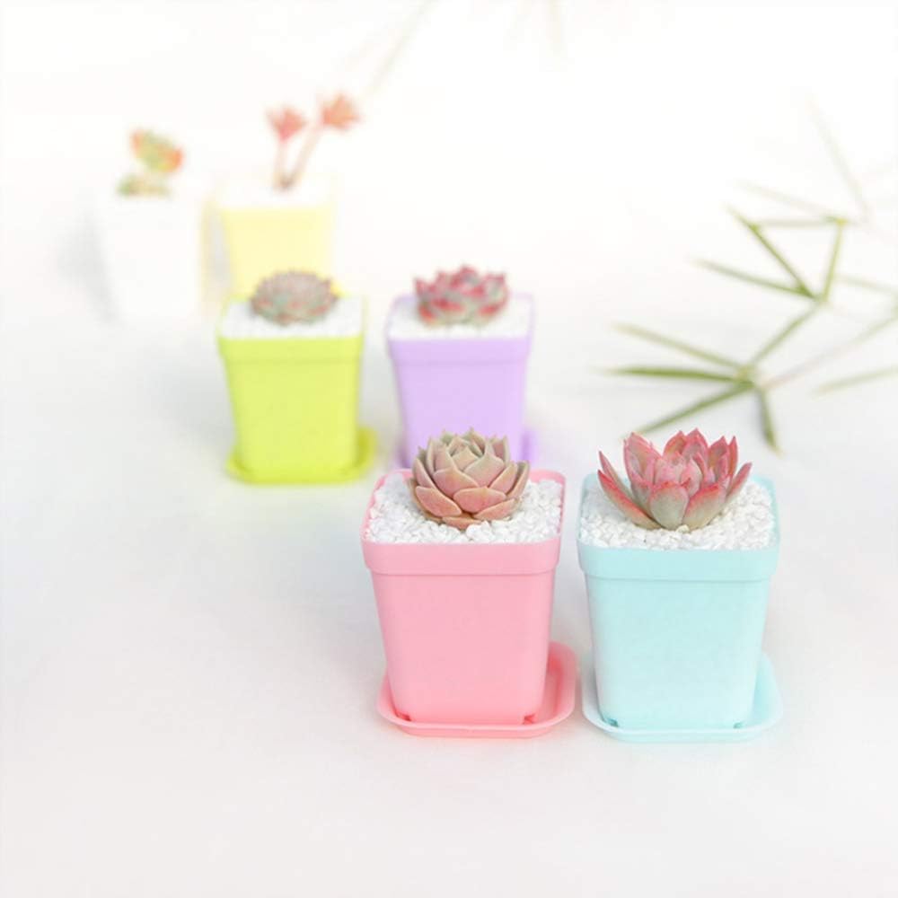 24 Pack 3inch Multi Color Square Plastic Plant Pots,Seedling Nursery T