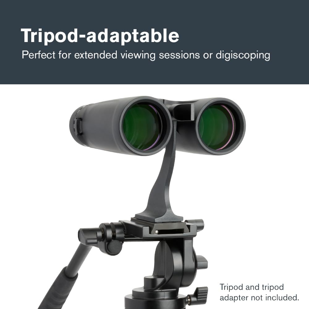 Celestron - Outland X 10x42 Binoculars – Ideal for Birding and Outdoor