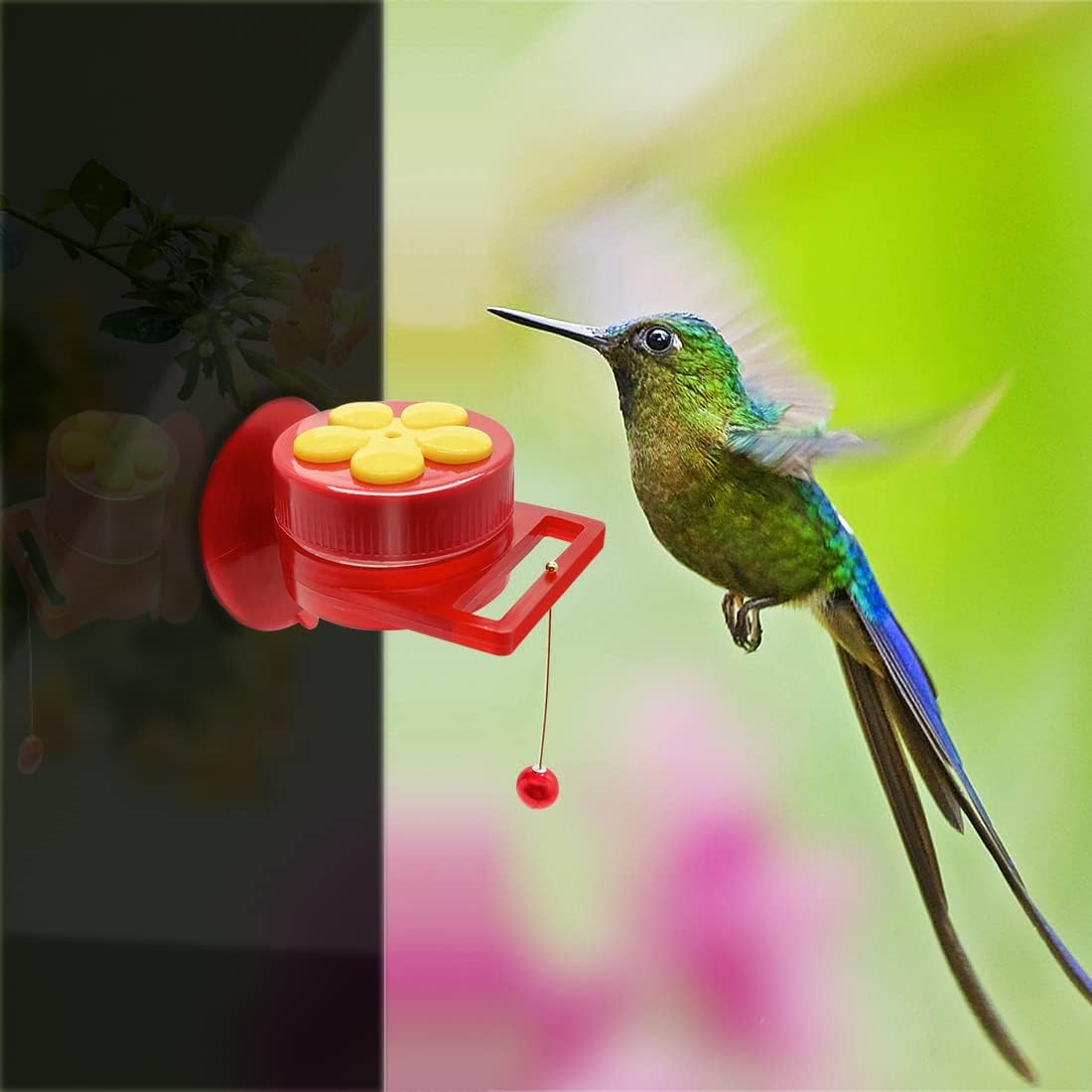 Hand Held Hummingbird Ring Feeders, 3Pcs Mini Hummingbird Hand Feeder 