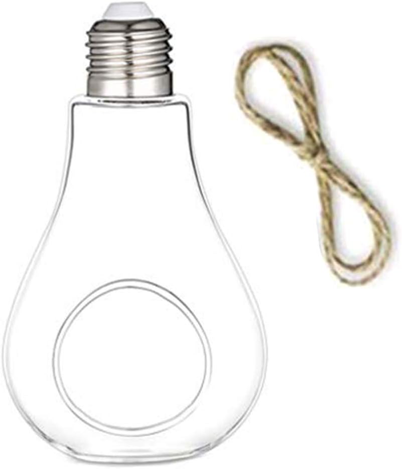Water Plant Containers Light Bulb Shaped Flower Pots Glass Flower Hanging Glass Plant Vase Gift Kitchen