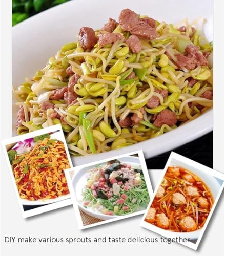Automatic Bean Sprouts Machine, Home Seed Sprouter, Bean Sprout Plante