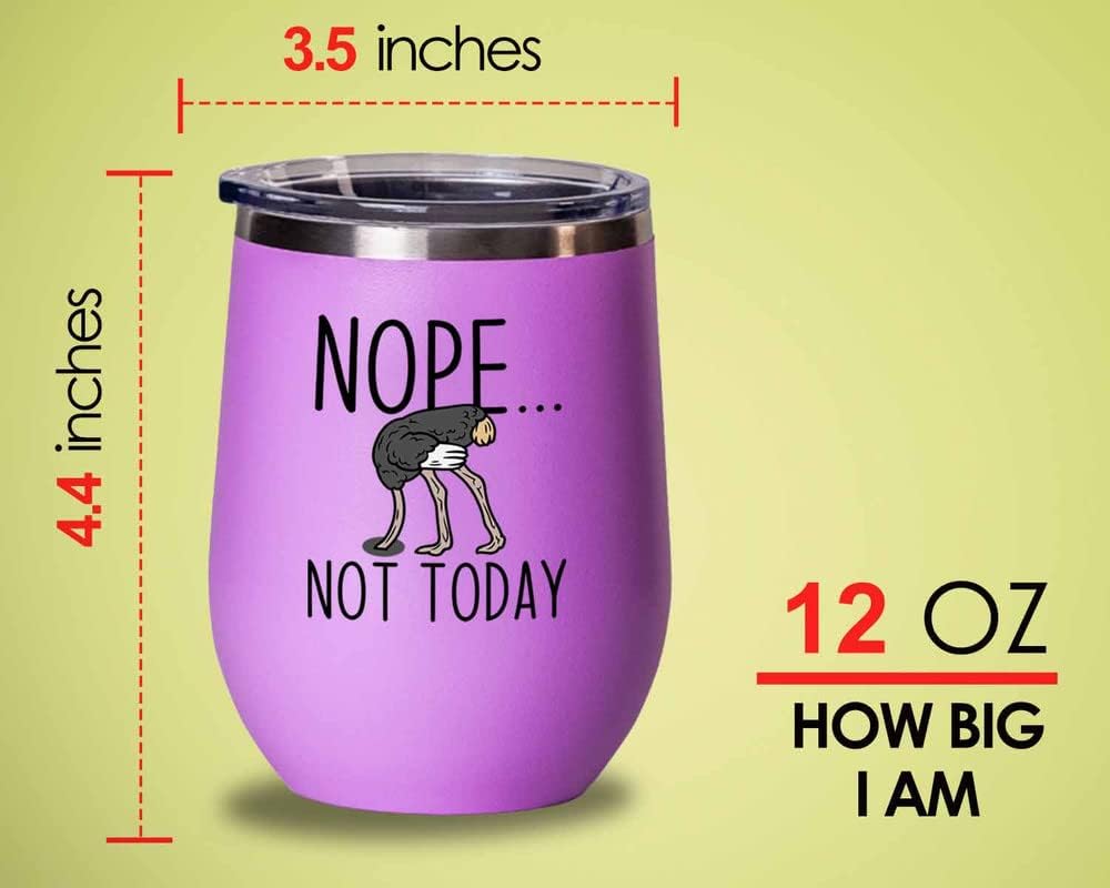 Bird Lover Pink Edition Wine Tumbler 12oz - Nope not Today - Hummingbi