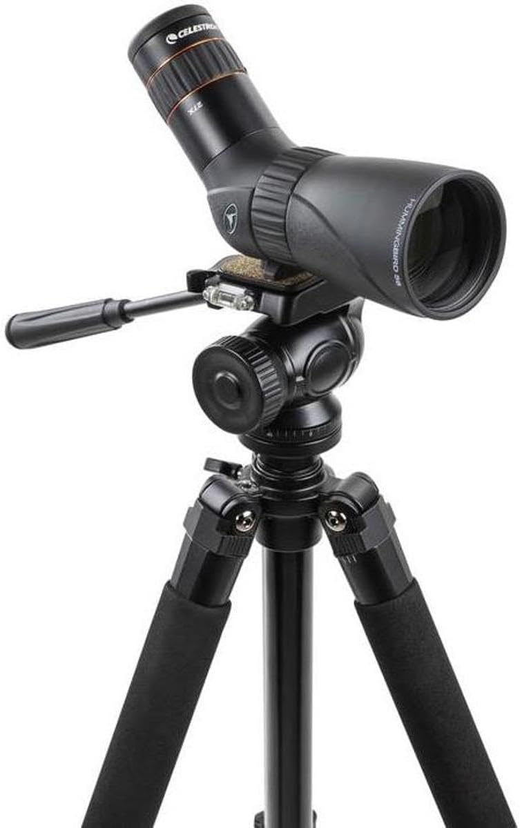 Celestron 52310 Hummingbird Micro Spotting Scope, 9 to 27x Magnification Range, BaK-4 Prism Glass, Black