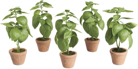 Park Hill Collection EBQ20574 Basil Plant in Windowsill Pot, 10.25-inc