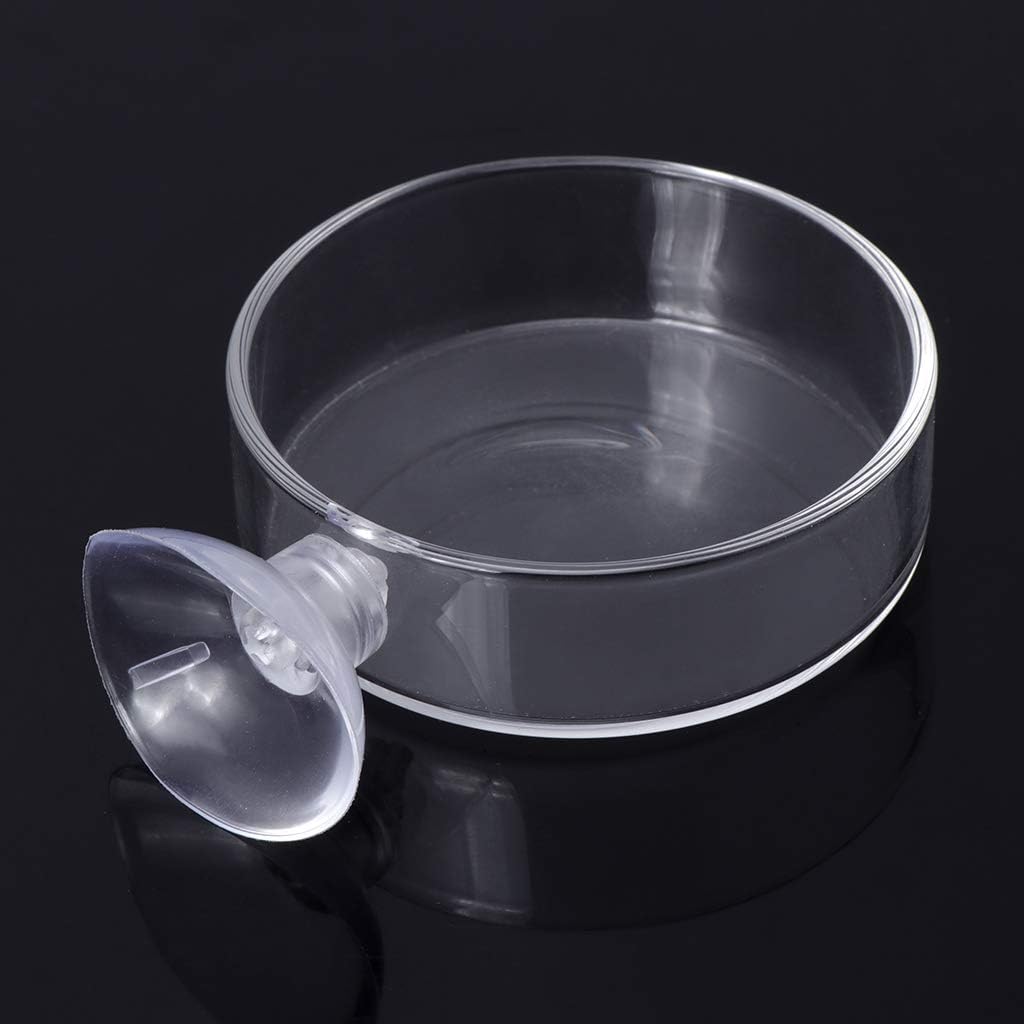 Aquarium Shrimp Feeding Dish with Suction Cup High Transparent Glass B