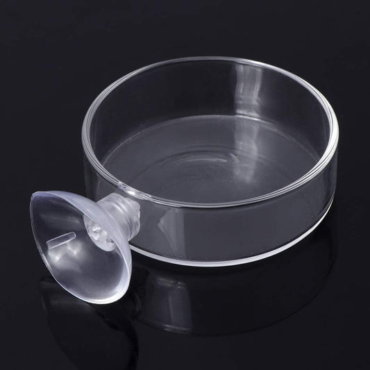 Aquarium Shrimp Feeding Dish with Suction Cup High Transparent Glass Bottom Feeder Food Bowl 2.4x0.7 Inch Round Tray Glass, As Pic Shows