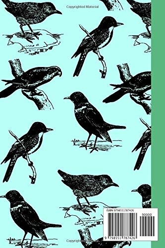 Birdwatching Journal Notebook and Birder Gift Idea: A birdwatching logbook and record book for twitchers | perfect idea for bird watchers, birders, twitchers, and bird lovers