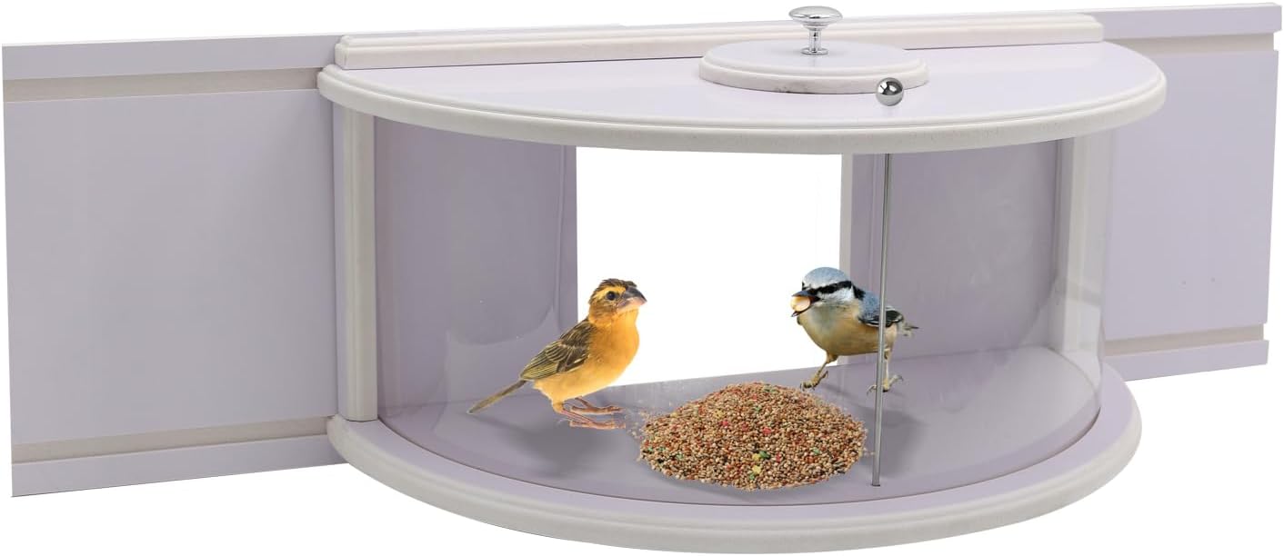 Window Bird Feeders for Viewing Durable in Window Bird Feeder in Windo