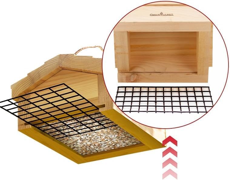 Upside Down Suet Feeder + Large Tree Hanger - Wild Bird Feeder with Ra