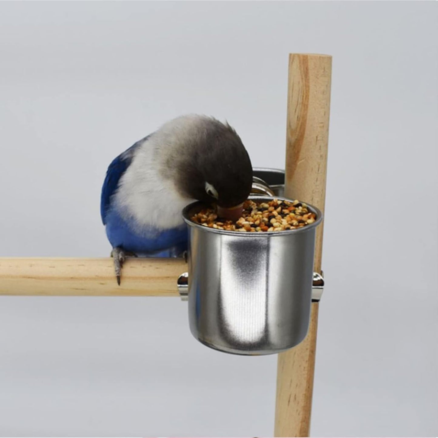 2pcs Steel Bird Feeder Steel Cup Food Bowl Container Parrot Parakeets Cage Hanging Bowl Water Food Dish Bird Supplies Bird Feeder for Cages Portable with Hook