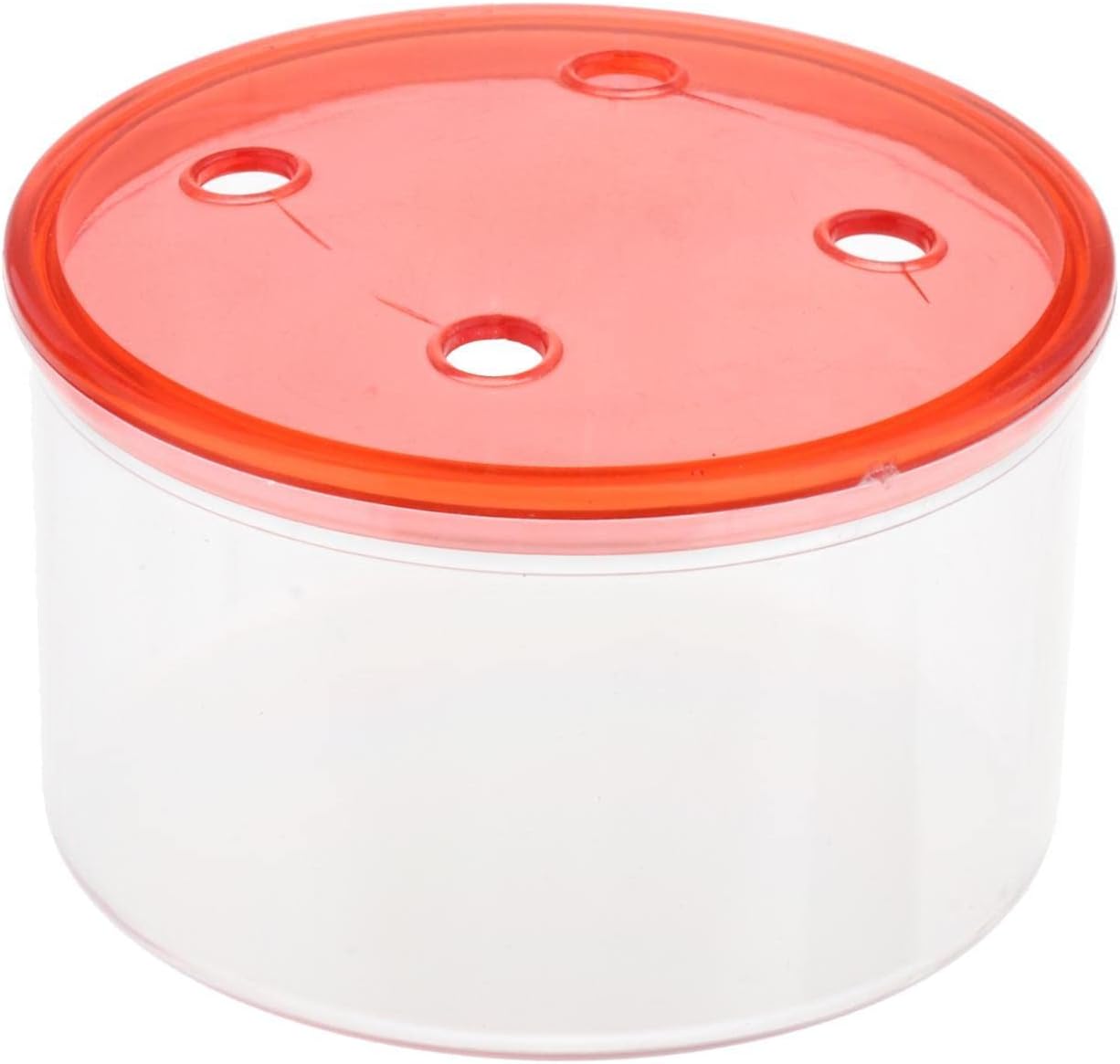 Attract Hummingbirds with Plastic Hummingbird Feeder Box - Durable and