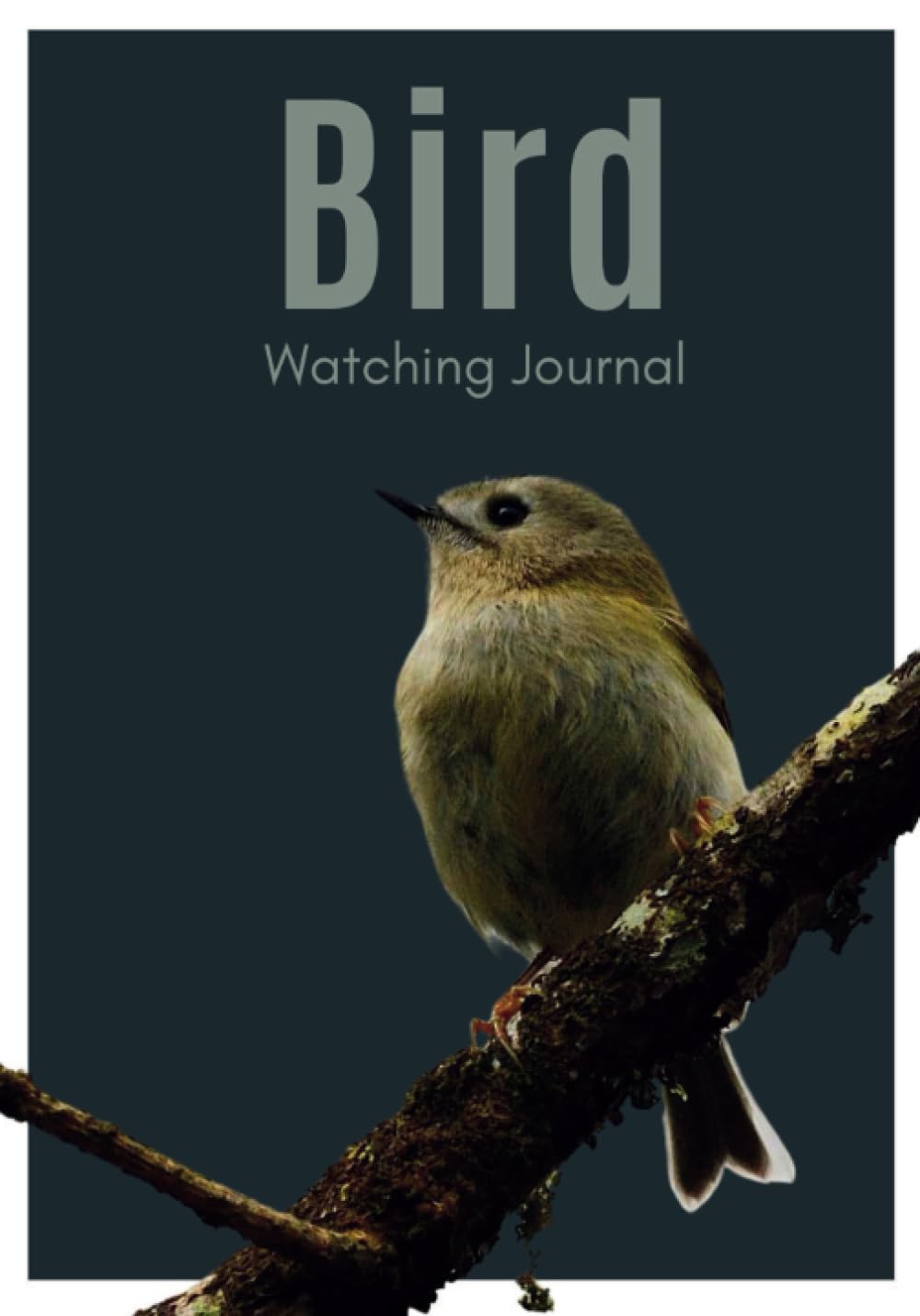 Bird Watching Journal: Birdwatching Log Book for Birders & Bird Watchers: (Gift Idea for Kids, Teens and Adults)