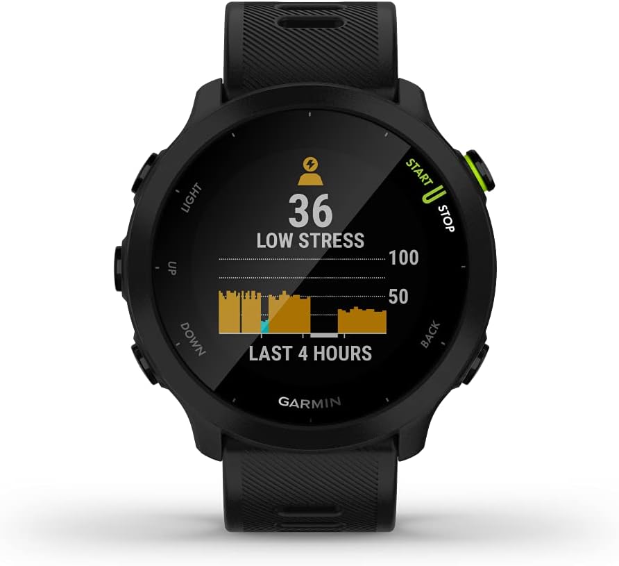 Garmin Forerunner 55, GPS Running Watch with Daily Suggested Workouts,