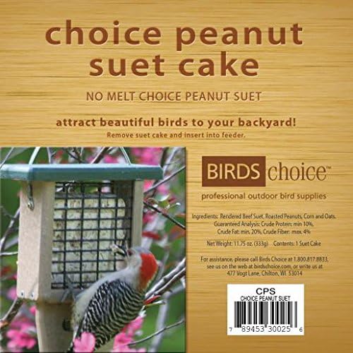 Naturesroom Poly-Lumber Prop Suet Feeder for Birds - Include 2 Bonus Suet Cake Cage Feeder Packs -Premium Insect and Peanut Suet Cakes for Feeder Basket Holder, Green/Brown, 12"L x 8"W X 3"D (sntp)