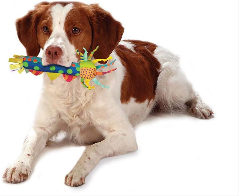 Cool Teething Stick – Puppy Chew Toy for 0–6 Month Puppies, Teething R