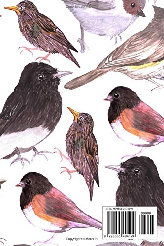 Bird Watching Journal: Birdwatcher Log Book For Adults & Kids For Recording Twitching, Sightings & Hotspots. Birding Logbook For Any Beginner Or Advanced Birder