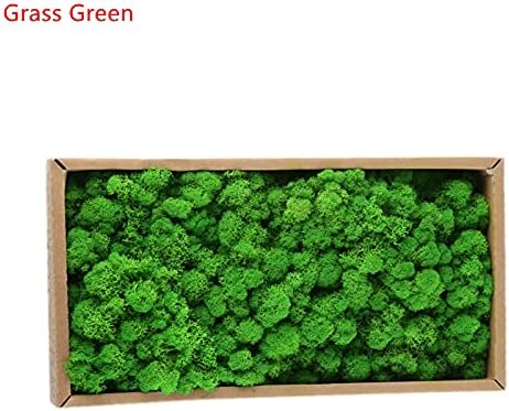 500G Simulation Plants Eternal Life Moss Garden Home Decor Wall DIY Flower Material Mini Garden Micro Landscape Fake Moss (Grass Green)