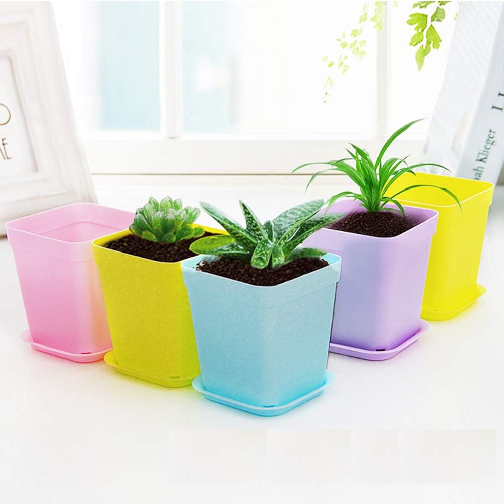 24 Pack 3inch Multi Color Square Plastic Plant Pots,Seedling Nursery T