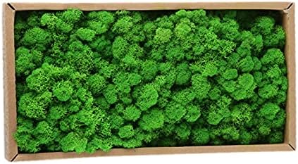 500G Simulation Plants Eternal Life Moss Garden Home Decor Wall DIY Flower Material Mini Garden Micro Landscape Fake Moss (Grass Green)