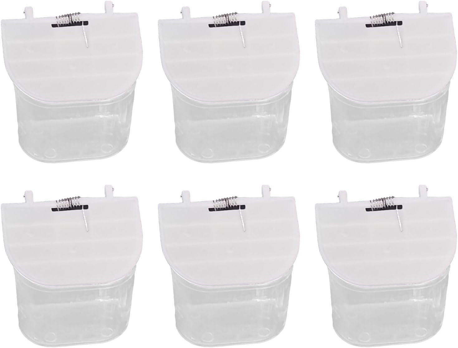 Bird Feeders for Parrots NonSplash Birds Feeders Birds Parrots Food Di