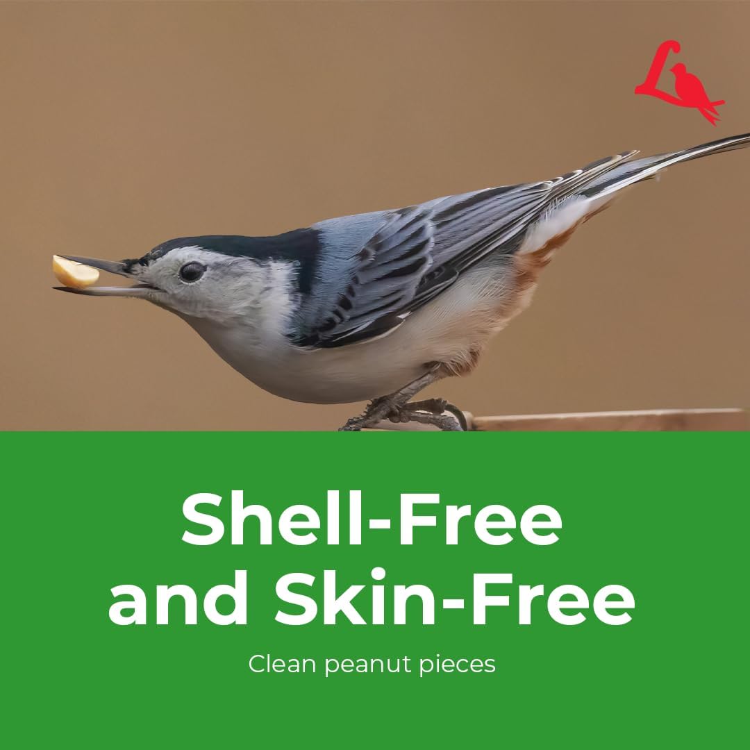 Lyric Peanut Pieces - Shelled Peanuts for Wild Birds 15 lb and Lyric F