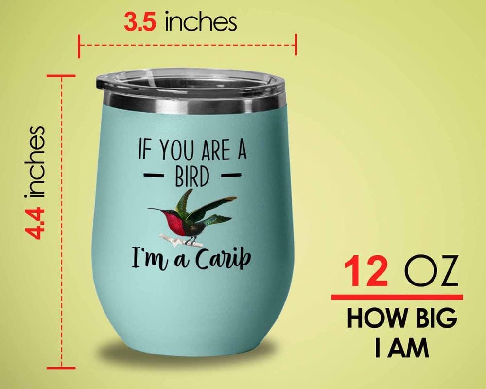 Bird Lover Teal Edition Wine Tumbler 12oz - Bird and Carib - Hummingbird Nest Cage Parrot Dad Gardening Outdoor Birdwatcher Feeder