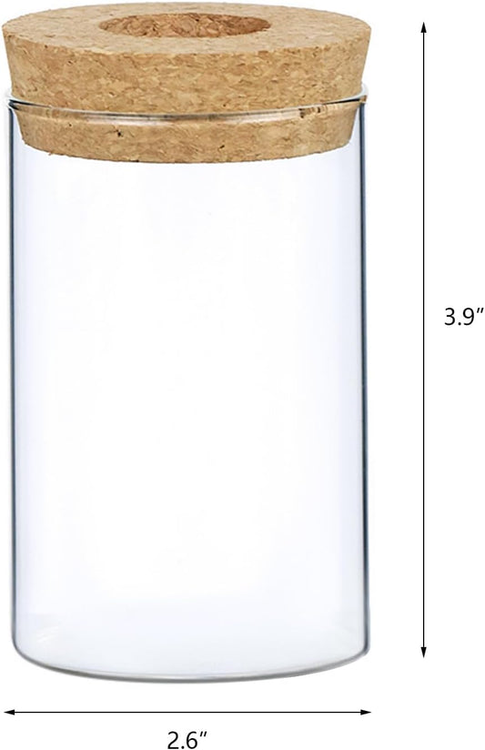 Clear Glass Planter Vase with Wooden Lid and Bamboo Stand for Hydroponic Plants, Succulents, Cut Flowers Gifts for Women Mom Plant Lovers (1, 2.55 * 3.93inch)