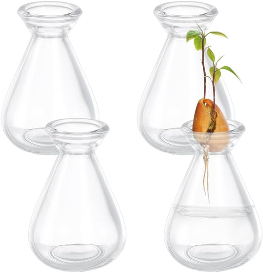 NBEADS 4 Pcs Avocado Seed Starter Vases, Clear Glass Avocado Growing Pot Plant Germination Vases for Growing Acorn Seeds Herbs Bulbs Indoor Plant Gardening Lover