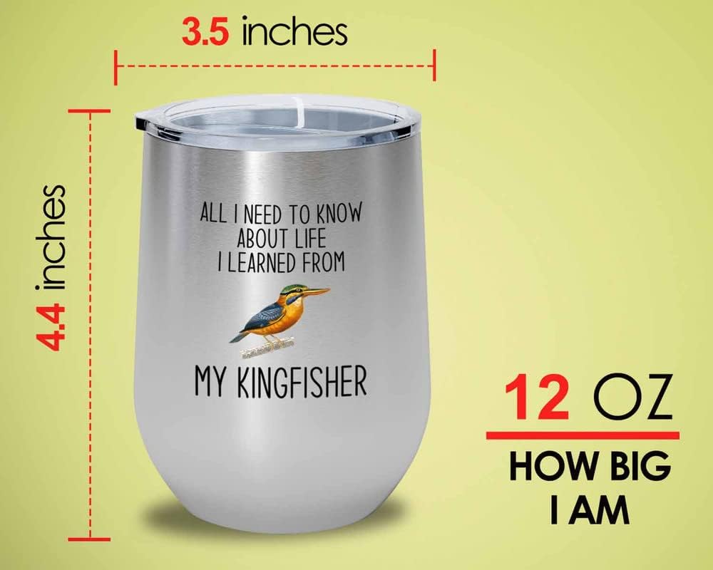 Bird Lover Silver Edition Wine Tumbler 12oz - Lfe my bird - Hummingbir