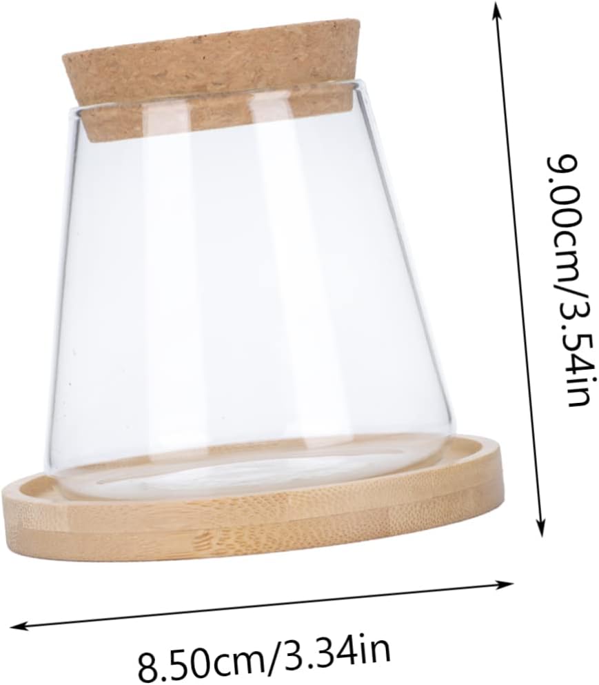 PRETYZOOM 1set Hydroponic Glass Vase Simple Flower Pot for Office Home