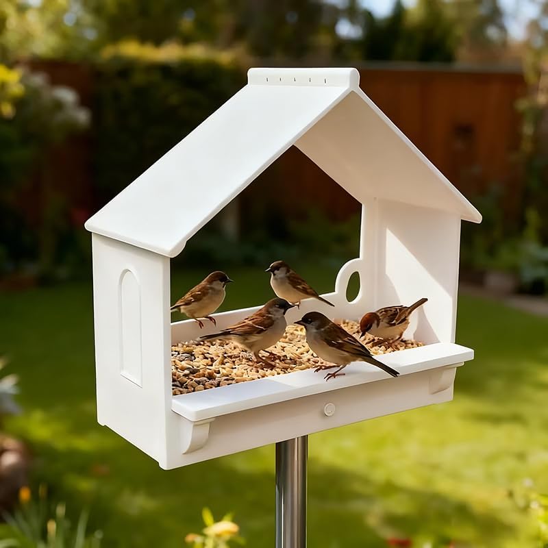 Hummingbird Feeders for Window, Decor Hangers, Transparent Back Bird Feeders for Outdoors, for Squirrel Outside Garden Window Winter Balcony Viewing Decks