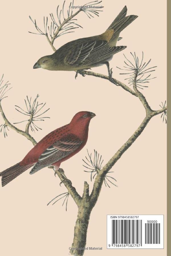 Bird Observation guide and watching notebook.: 6''x9'' 120 pages