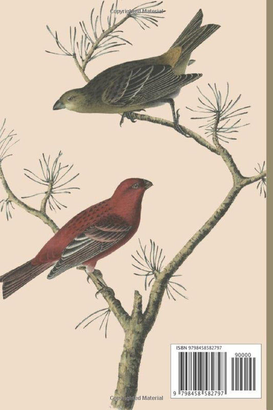 Bird Observation guide and watching notebook.: 6''x9'' 120 pages