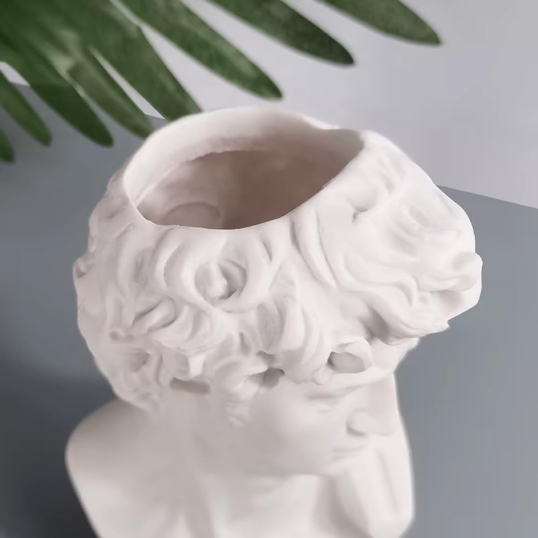 David Head Plant Pot Flower Vase Roman Style Face Planter for Garden Home Office Decorative Bust Statue Planter Modern Decor (Medium)