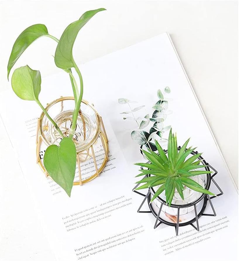 Glass Vase Nordic Small Flower Vase Clear Glass Bud Vases with Metal Geometric Iron Line Cup Vase Pot for Hydroponic Planter Flowers Rack Stand Modern Home Décor Desktop Table Vase Decor (Black,D)