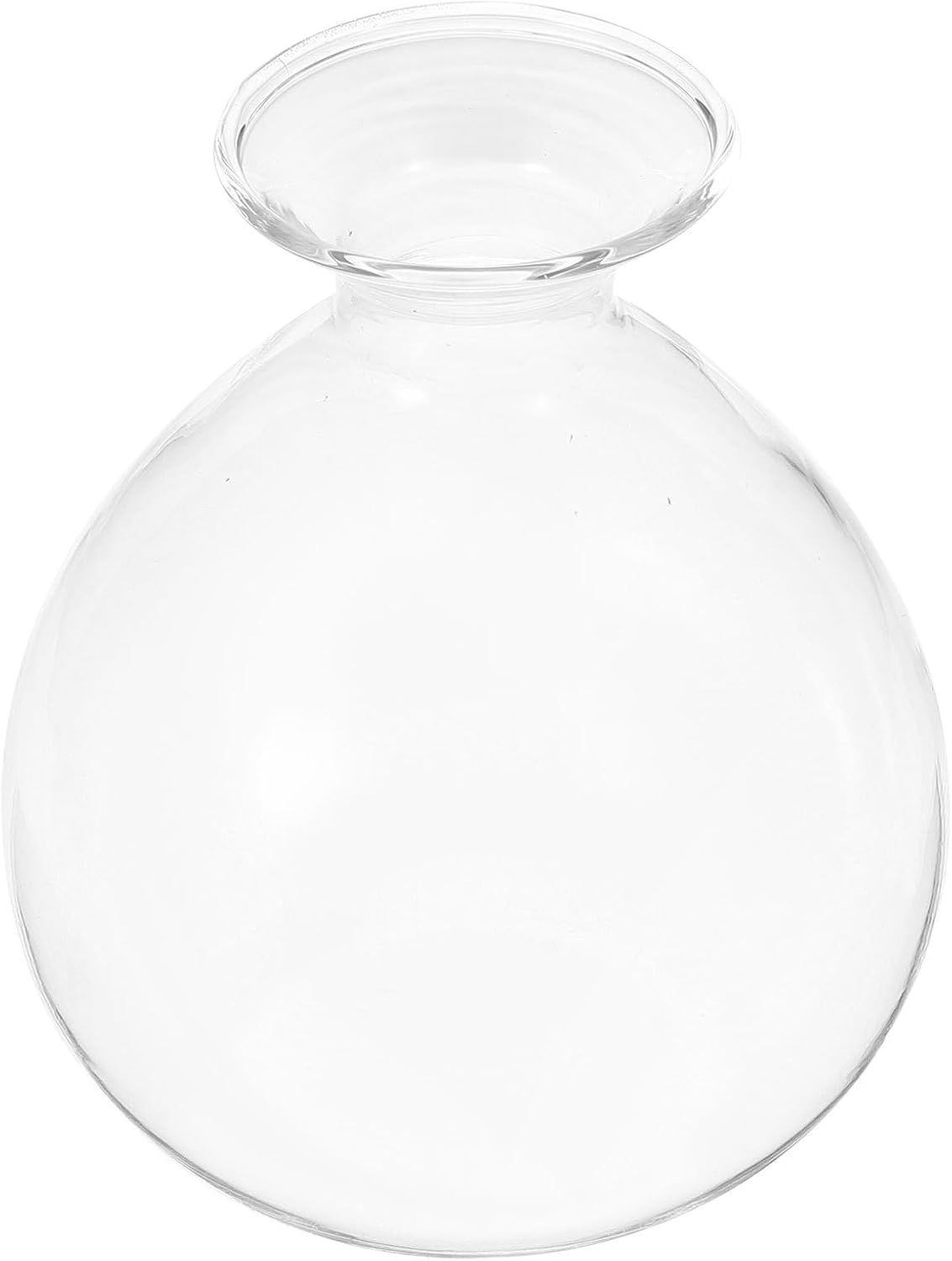 PRETYZOOM Avocado Seed Planter Glass Water Plant Vase Succulent Shape Hydroponic Flower Pot for Indoor Green Plant Propagation Home Décor