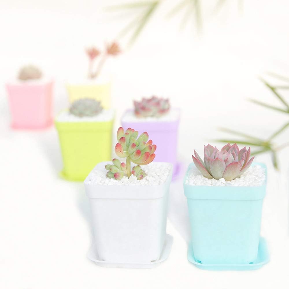 24 Pack 3inch Multi Color Square Plastic Plant Pots,Seedling Nursery T