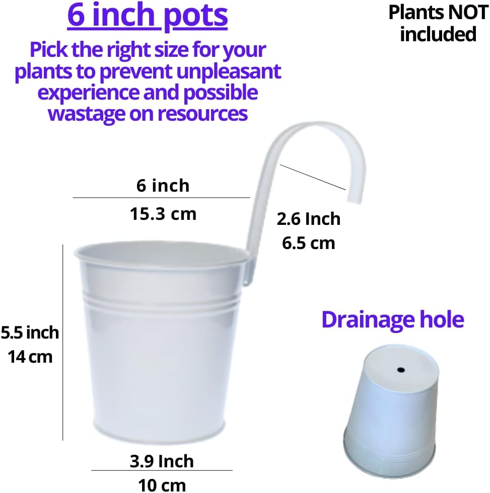 LaLaGreen 6 Inch Hanging Planter Iron - 10 Pack, White Large Metal Flower Pot Over Rail Balcony Railing Hanging Buckets for Plants Outdoor Fence Wall Herb Garden Succulent Outside Deck Patio Porch