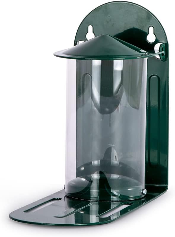 Green Metal Wild Squirrel Feeder - Garden Squirrel Feeding for Wildlif
