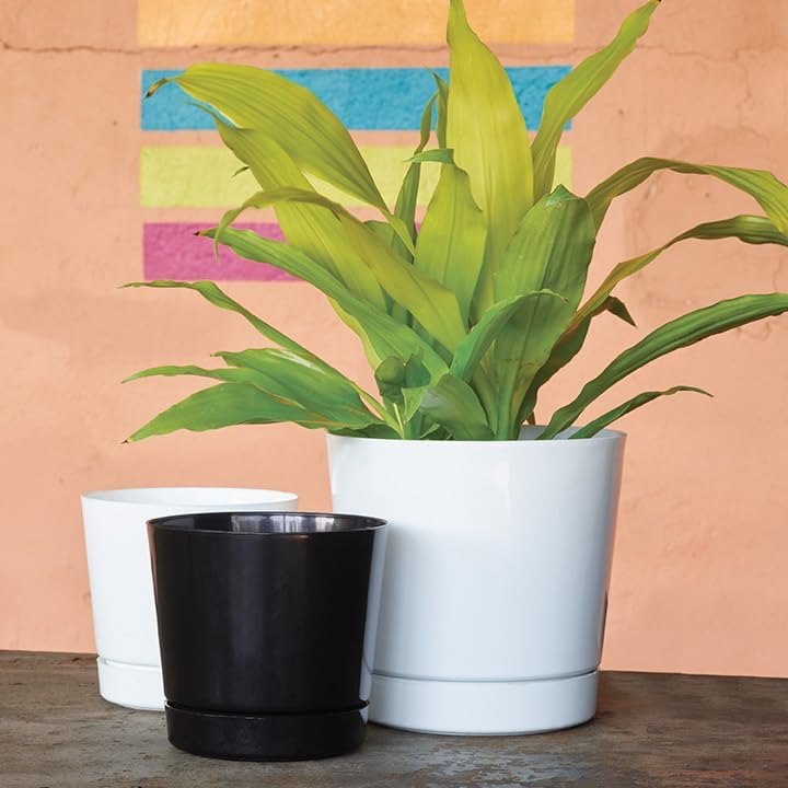 Novelty Majestic Full Depth Cylinder Pot, Glossy White, 12-Inch (10122