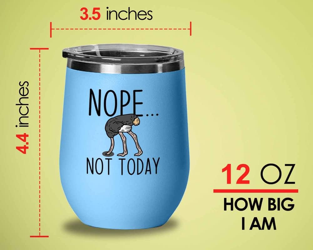 Bird Lover Blue Edition Wine Tumbler 12oz - Nope not Today - Hummingbi