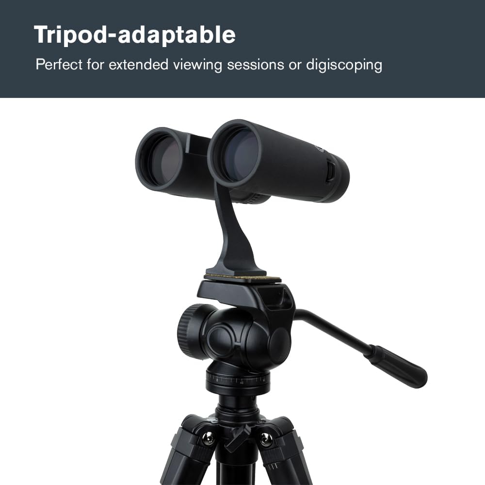 Celestron – Regal ED 8x42 Binoculars – Premium Optics for Birding, Hunting & Outdoor Use – Phase & Dielectric Coated BaK-4 Prisms – Fully Multi-Coated Glass – 4.9 ft Close Focus
