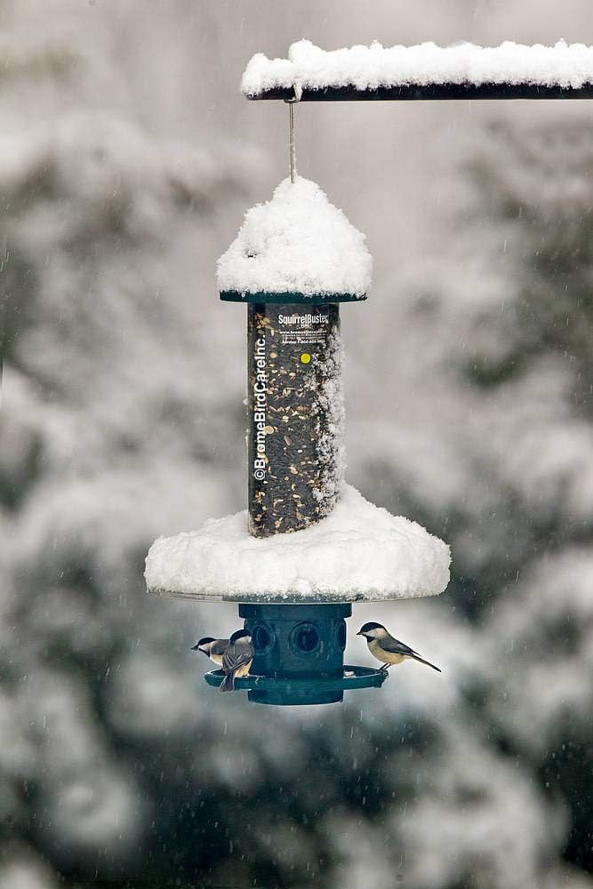 Weather Guard for Squirrel Buster Plus Bird Feeder (FEEDER NOT INCLUDED)