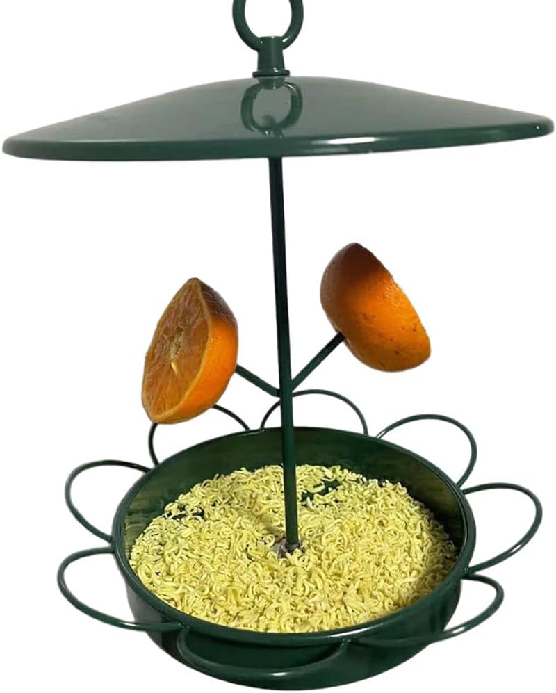 Bird Feeders for Outdoors Hanging Bird Feeder Wild Birds Seed